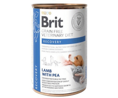 Brit Grain Free Veterinary Diet Recovery