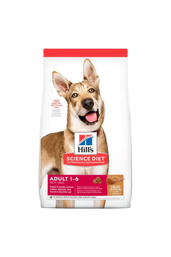 Adulto - Cordero & Arroz