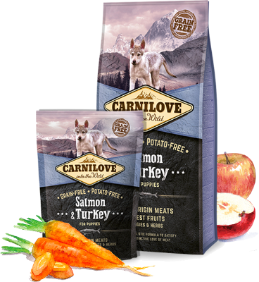 Cachorro – Salmón & Pavo