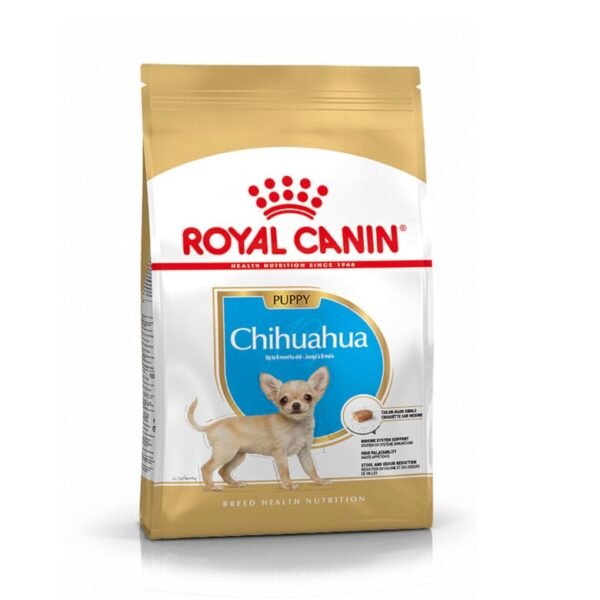 Chihuahua, Cachorro – Ave de corral 1.5kg