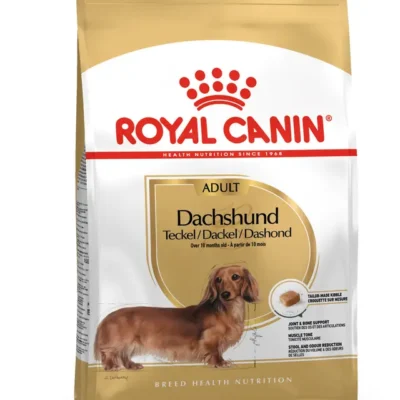 Dachshund, Adulto – Ave de corral 1.5kg
