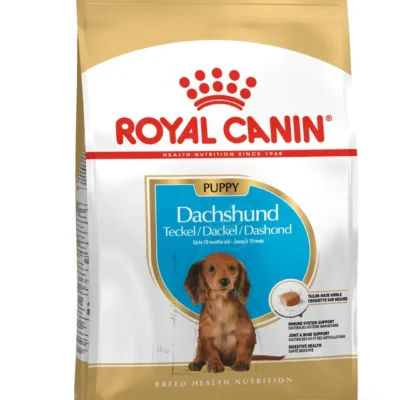 Dachshund, Cachorro – Ave de corral 1.5kg