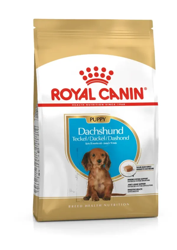 Dachshund Cachorro – Ave de corral 1.5kg