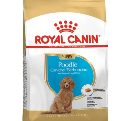 Poodle, Cachorro – Ave de corral 3kg