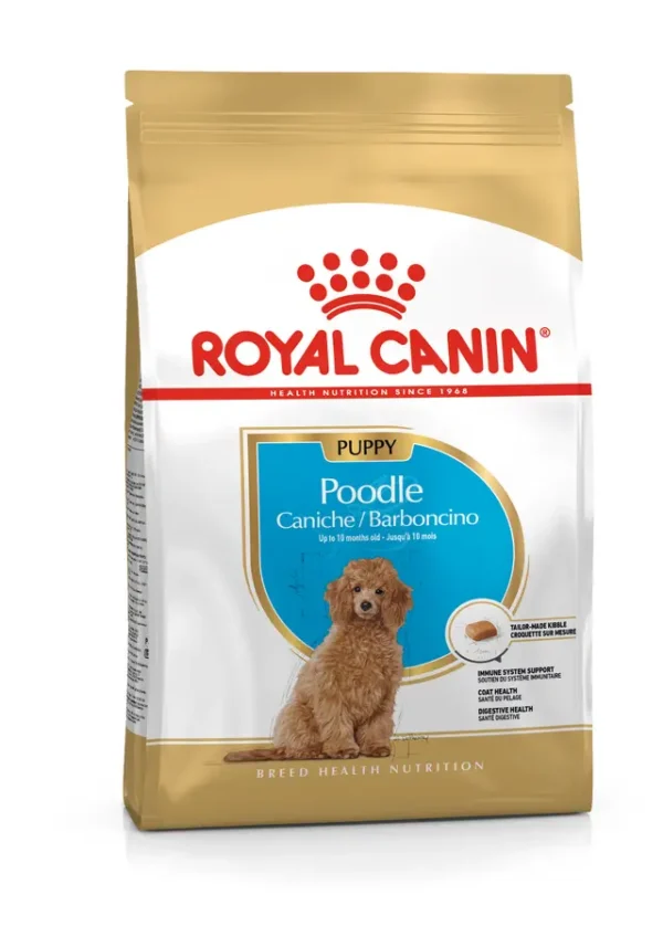 Poodle, Cachorro – Ave de corral 3kg