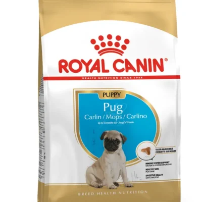 Pug, Cachorro – Ave de corral 1.5kg