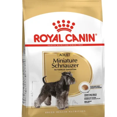 Schnauzer, Adulto – Ave de corral