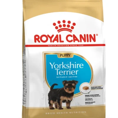 Yorkshire Terrier, Cachorro – Ave de corral 1.5kg