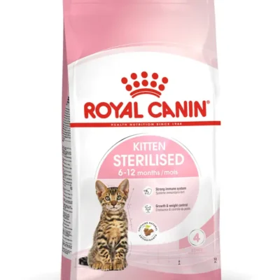 Gatito Esterilizado – Ave de corral