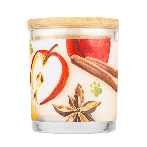 Vela Refrescante - Sidra de manzana, canela y clavo