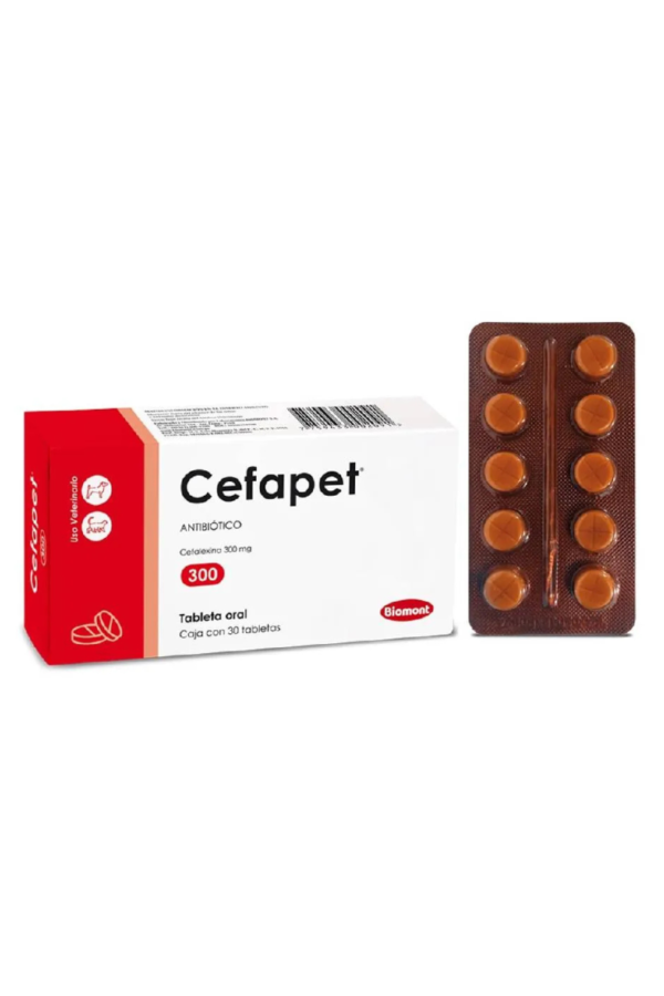 Antibiótico - 1 blíster(10tab)