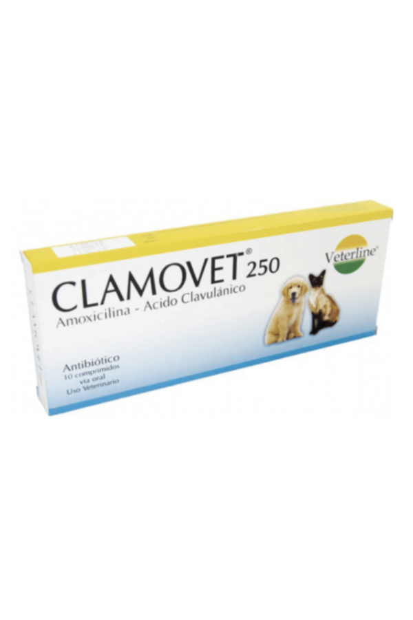 Antibiótico - 1 caja(40tab)