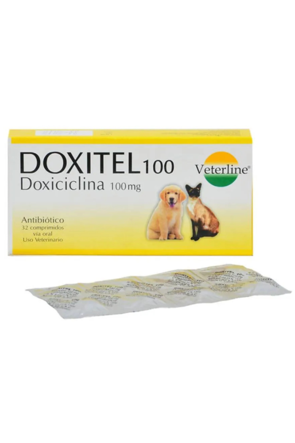 Antibiótico - 1 blíster(8tab)