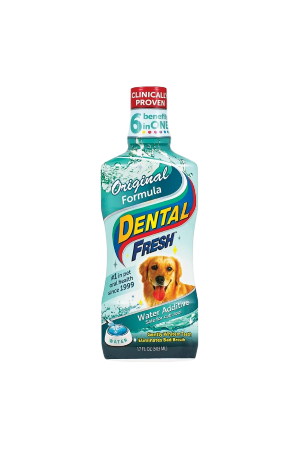 Cuidado Oral