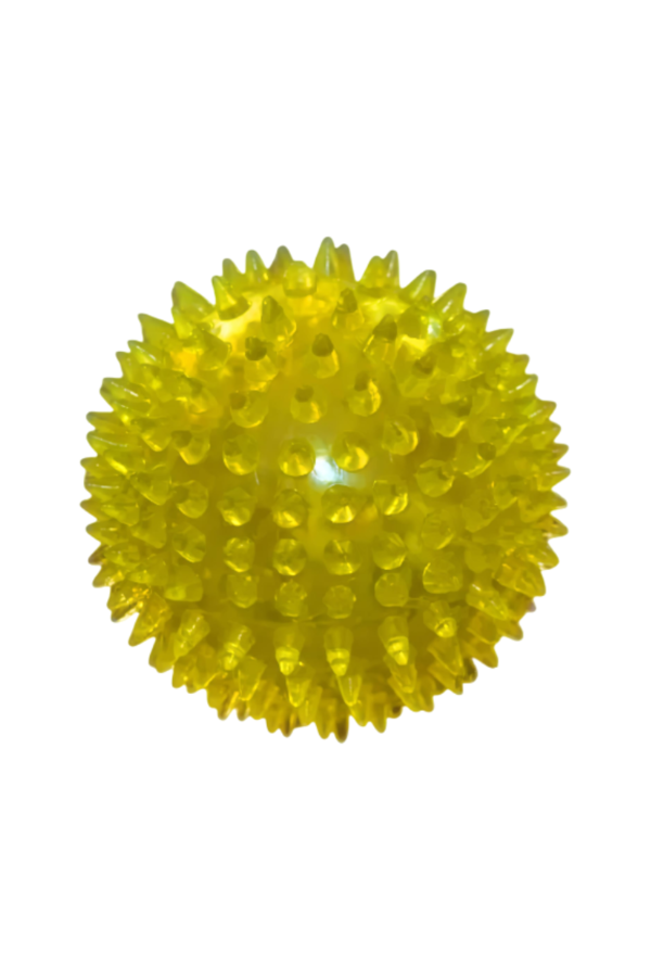 pelota-de-plastico-1 Pelota de Plástico