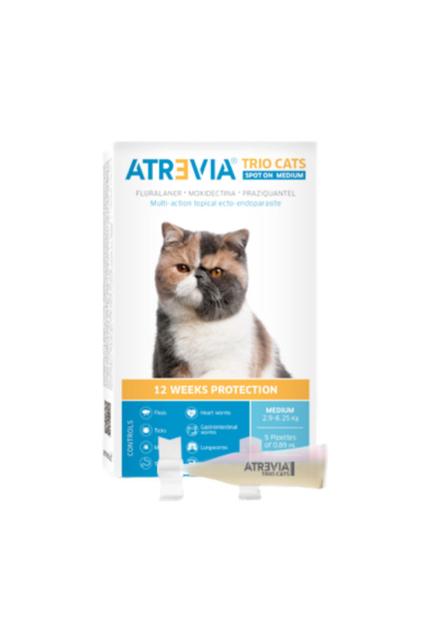 Mediano 2.9 a 6.25kg