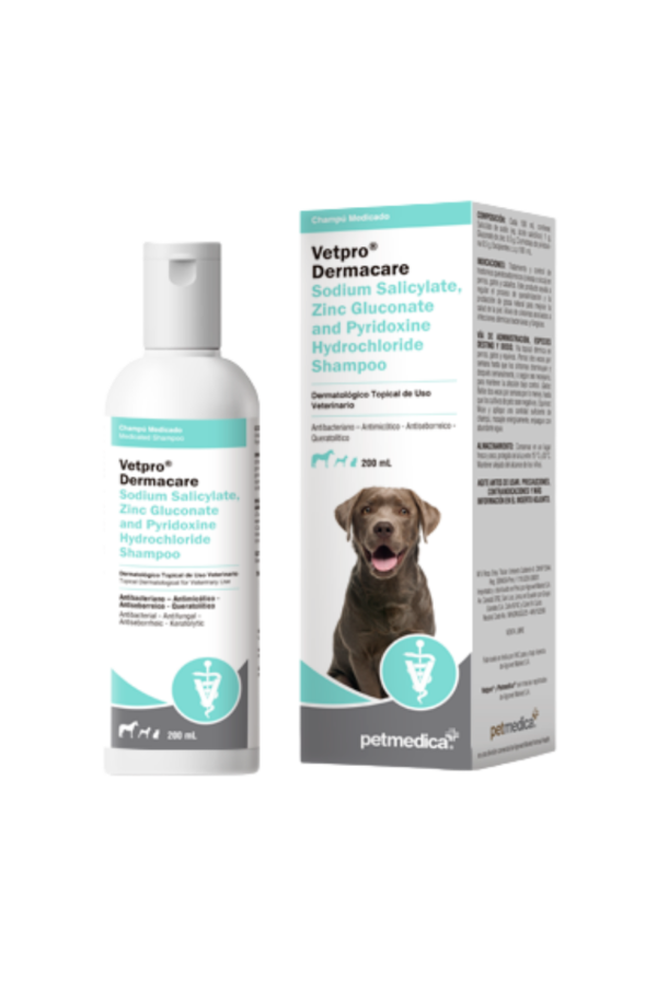 Shampoo Medicado - Sodium Salicylate, Zinc Gluconate & Pyridoxine Hydrochloride