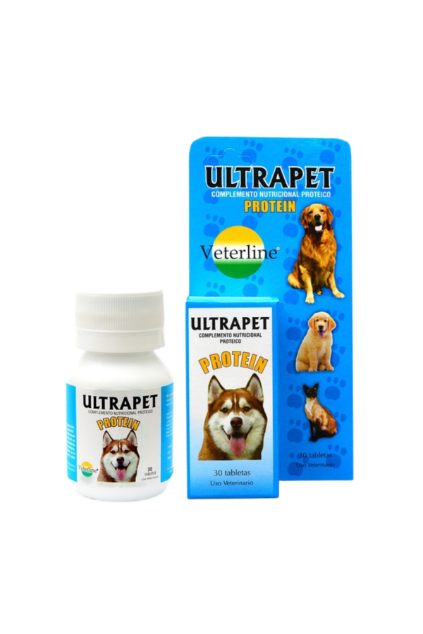 Complemento Nutricional Proteico