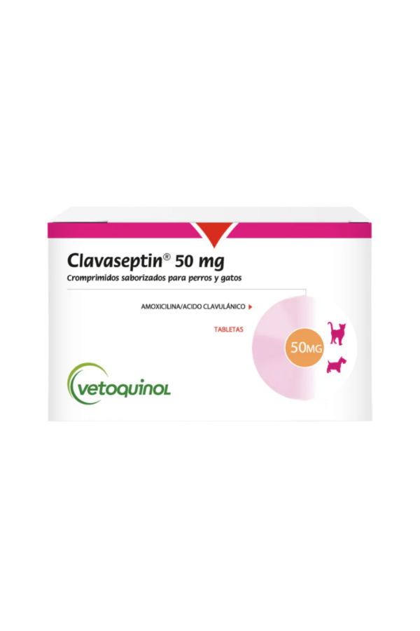 Antibiótico - 1 blíster(10tab)