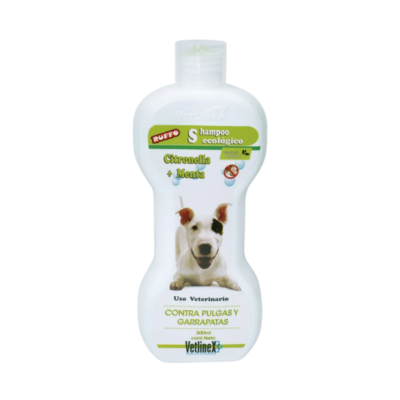 Shampoo Medicado
