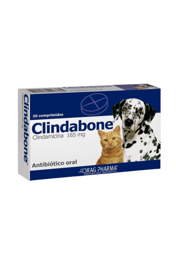 Antibiótico - 20comp